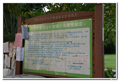 单身的人儿啊，请你看过来——莲花山婚介角一瞥